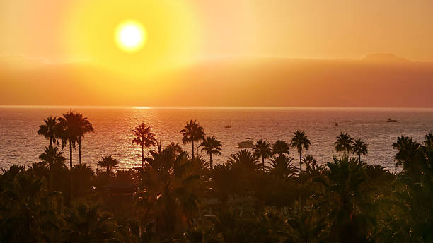 istock Sunset Over La Gomera island. View from Tenerife with Dramatic Clouds and Silhouetted Palms 2239389503