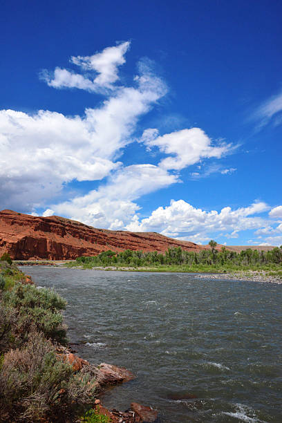 istock Wind River seen from the right bank - cliffs and forest, Crowheart, Wyoming 2239389920