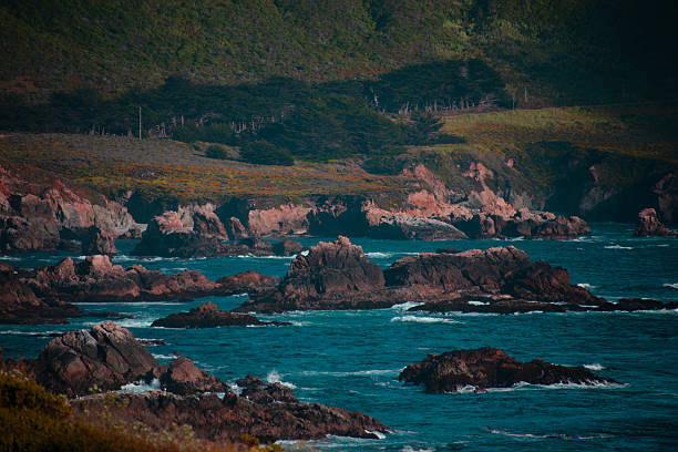 just a nature photo