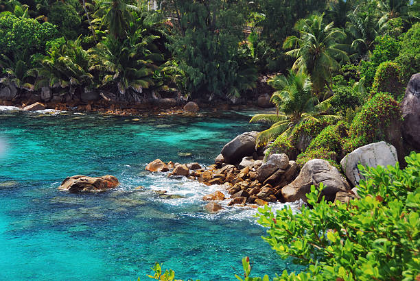 Tropical coastline on Seychelles islands. Mahe