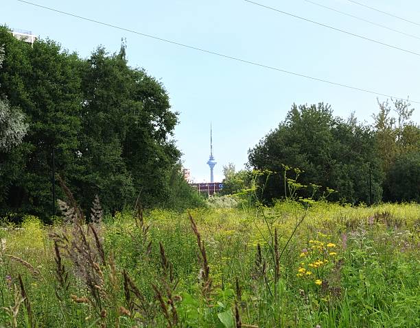 istock Tallinn TV Tower 2239391702