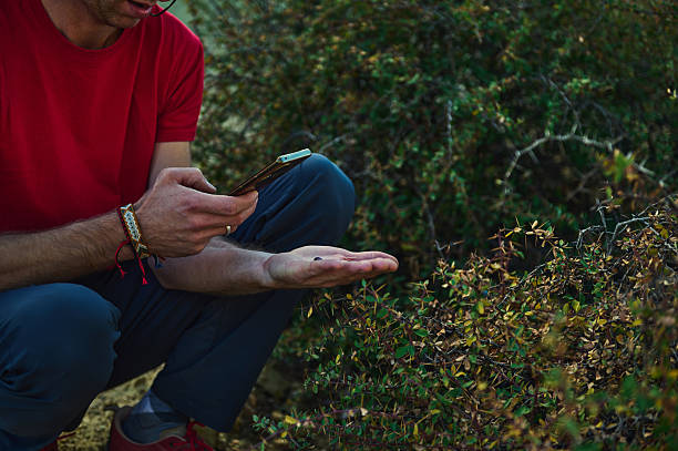 istock Outdoor Discovery: Man In Red Shirt Examines Tiny Insect On Palm While Using Smartphone 2239401097