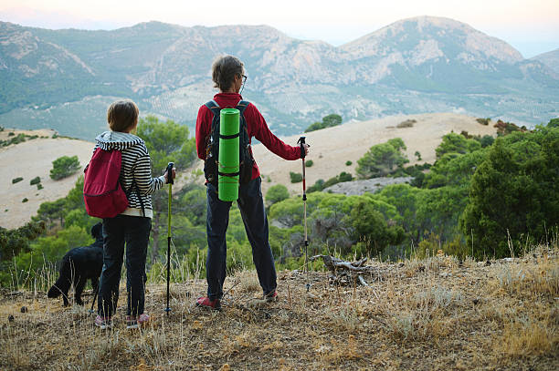 Two hikers, a man and a child, stand on a dry hillside with trekking poles and a bright green backpack, gazing at distant mountains with a dog nearby.