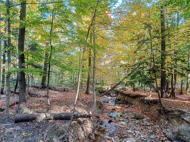 istock James Gardens park in Toronto 2239411787