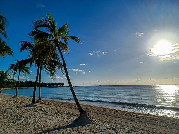 istock Playa del Car beach view 2239411819