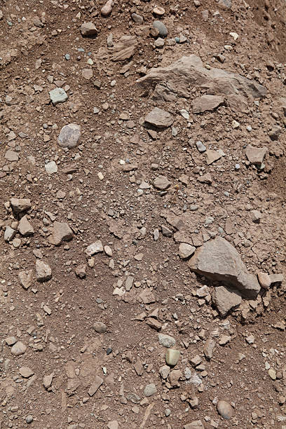 A close-up view of brown soil, scattered with small rocks and pebbles, showing the raw, uneven texture of a natural, unpaved surface.