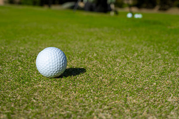 istock Close-up of golf clubs on a sunny course 2239411940