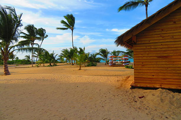 istock Kayaks and Beach Hut 2239412345