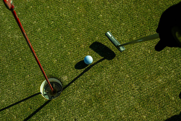 golf club driver is positioned behind a golf ball on a tee, ready for a swing, resting on a vibrant green grass surface under bright sunlight.