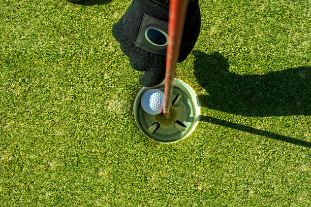 A golf ball that is just short of the hole.View more sports photos: