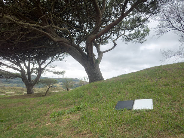 Color reference cards resting on green grass under an overcast sky