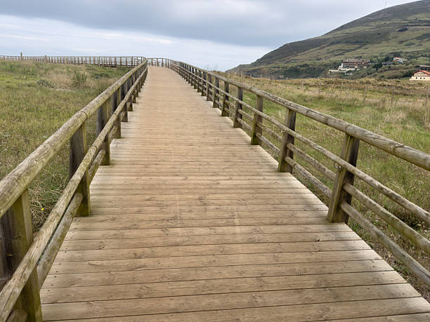 Boardwalk path winding through a grassy coastal landscape on a cloudy day