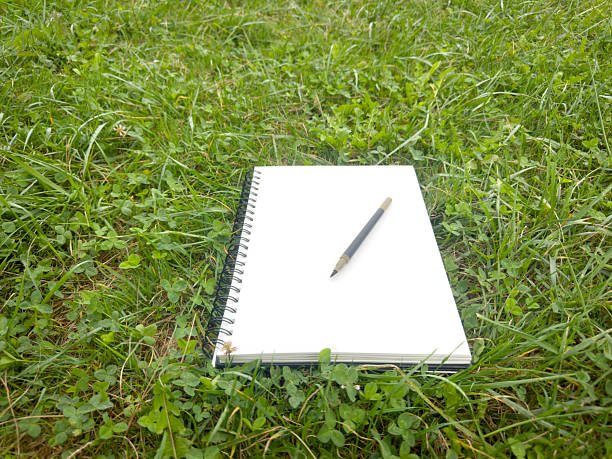 Blank notebook and pen laying on fresh green grass, suggesting creativity and nature