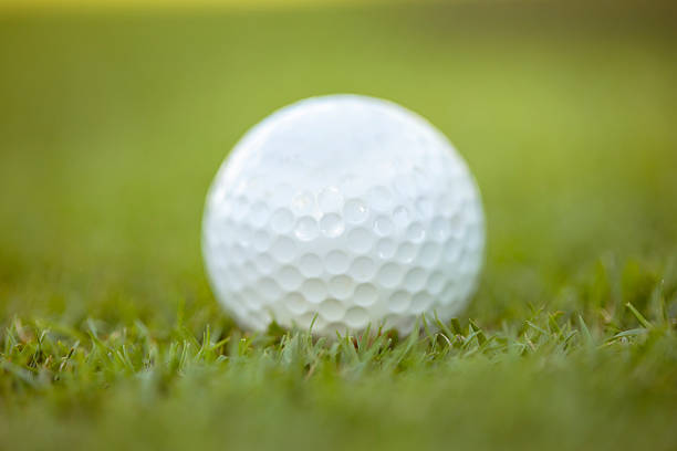 Golf ball on grass.