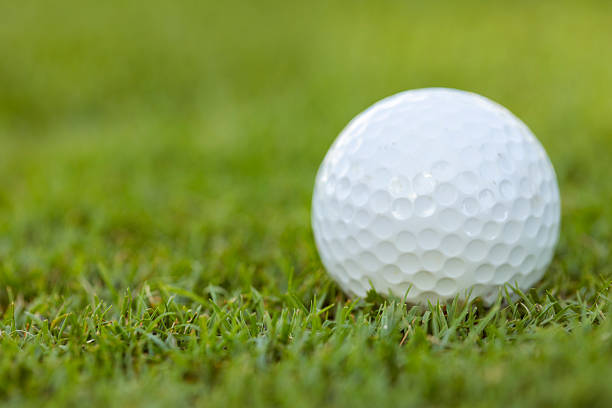 Golf ball on grass.