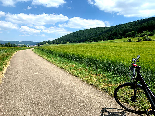 Forest view with bicycle, Pure nature from German countryside.