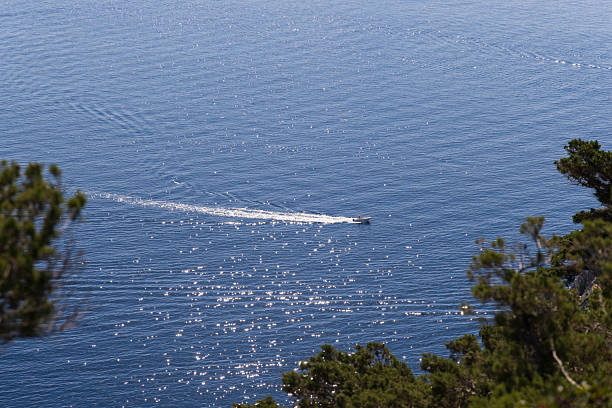 A lone motorboat glides over a sunlit blue expanse, leaving a white wake as sparkling reflections dance on the water. Foreground pines frame a peaceful, scenic coastal scene.