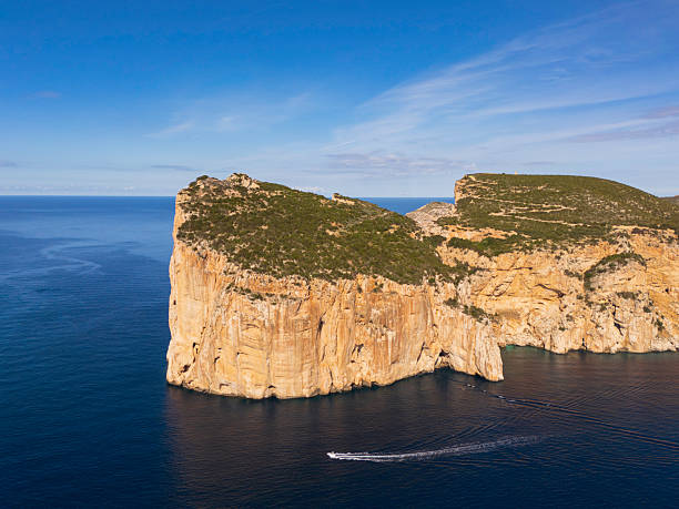 An aerial view of rugged coastal cliffs, emerald vegetation, and deep blue water along a remote shoreline under bright, clear skies.