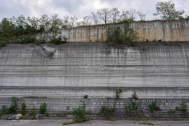 A close-up view of a high wall reveals its distinct horizontal layers and vertical fractures. The rock face displays varying shades of gray and beige, with small plants growing from cracks and ledges. This exposed stratified structure highlights the geological history of the slate quarry site beneath a cloudy sky.