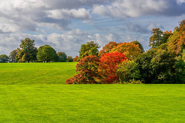 Vibrant autumn landscape at Upton Park with colorful trees, lush green fields, and dramatic cloudy sky in the English countryside