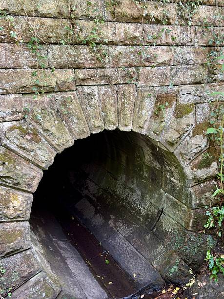 Old stone tunnel entrance built into a moss-covered brick wall. The arched structure, dark and damp inside, suggests historic drainage or passage use, surrounded by nature and aged textures.