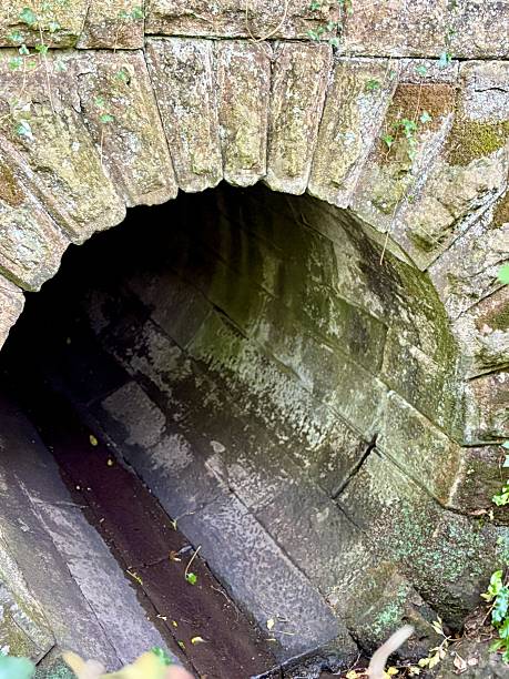 Old stone tunnel entrance built into a moss-covered brick wall. The arched structure, dark and damp inside, suggests historic drainage or passage use, surrounded by nature and aged textures.