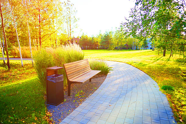 Pathway in Sunny Park With Wooden Bench, Tall Grass. Bright sunlight filters through trees in peaceful park, paved pathway leads past lush greenery and bench for relaxation. Public space landscaping.