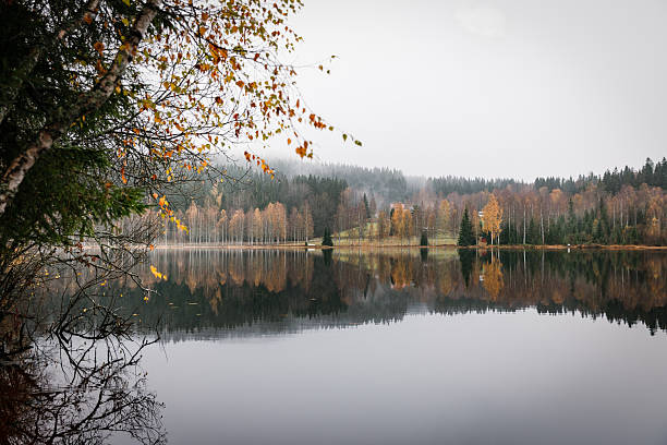 istock Shoreline Branches Frame a Perfect Reflection of Autumn Forest in Still Water 2239443329