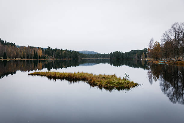A wide, tranquil landscape featuring a tiny, grass-covered peninsula in the foreground of a perfectly still lake. The water reflects the entire shoreline, a mix of autumn birch and dark evergreen forest, under a pale, overcast sky.