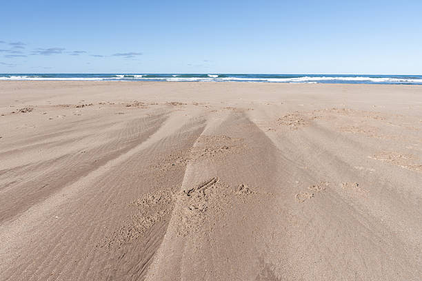 istock Horizon of sand, sea, and sky. 2239447216