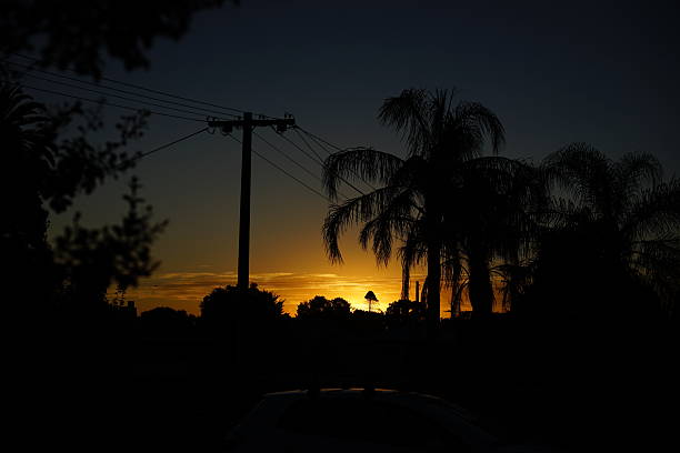 istock Silhouette of palm trees and powerlines 2239447529