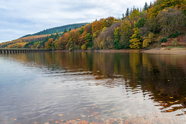 Autumn Path covered with thick carpet of fallen leaves in various shades of orange, yellow, and brown. Sunlight filters through the canopy of trees, illuminating the vibrant foliage on the branches and the ground at Derwent dam in the Peak District, England.