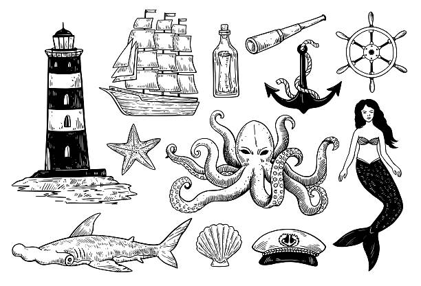 Set of vintage nautical elements for design isolated on white background.