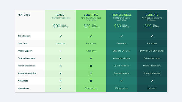 stockillustraties, clipart, cartoons en iconen met plan offer price package subscription comparison table chart infographic design template - tafel
