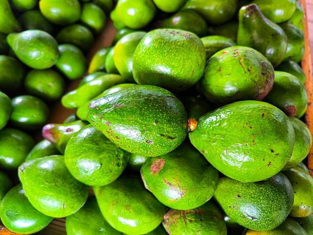 Fresh avocados displayed at a traditional fruit shop, with their smooth green skin and rich, creamy texture, inviting customers to enjoy their natural goodness and deliciously satisfying taste.