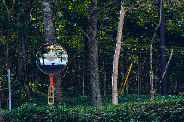 A convex traffic mirror in a quiet Japanese forest reflecting the image of a calm lake and sky. The photograph contrasts man-made objects with nature, evoking a sense of harmony and quiet observation in the wilderness.