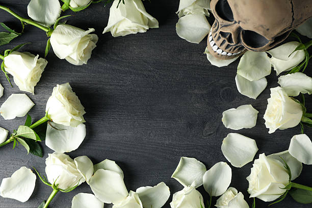 Skull and white roses on gray wooden background, space for text