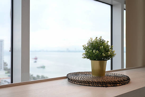 Ornamental plants by the window. The interior is beautiful.