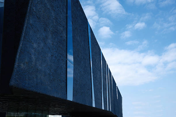 A striking human-made architectural structure with a deep blue facade featuring a coral-like textured surface and reflective glass panels. The composition captures modern design elements, symmetry, and reflections of surrounding buildings and the sky in natural light.