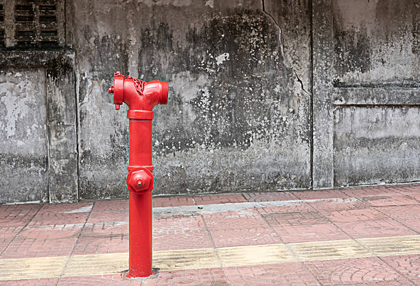 The image shows a fire hydrant installed on the street. The hydrant is painted red and has two hose connections for connecting fire hoses. The lid of the hydrant is closed and the body shows valves to control the water supply.