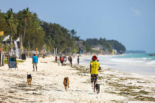 istock Man and dog having fun on the seaside 2239488036