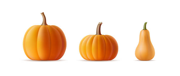 istock Vector set of 3D realistic pumpkins of various shapes and varieties on an isolated background. Volumetric squash, gourd template with shadow for Halloween party banner. Autumn vegetable illustration 2239495918