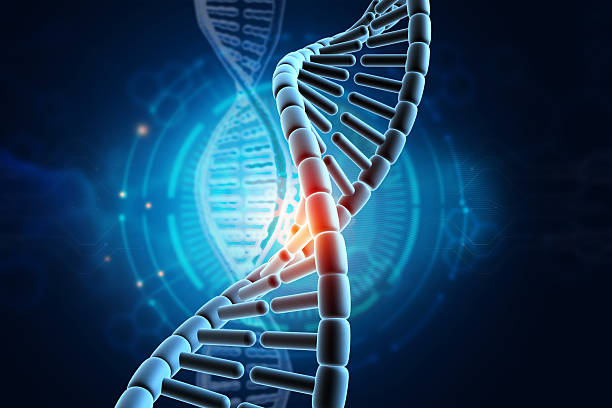 istock DNA strand on modern scientific and technology background 2239500562