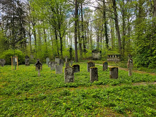 The forest cemetery was planned and built in 1913/14 by the then leading cemetery architect and Munich city planning officer Professor Hans Grässel in the Rheinhardwald forest in the Niklausen district of Schaffhausen. The image shows several grraves at the cemetery, captured duting spring season.