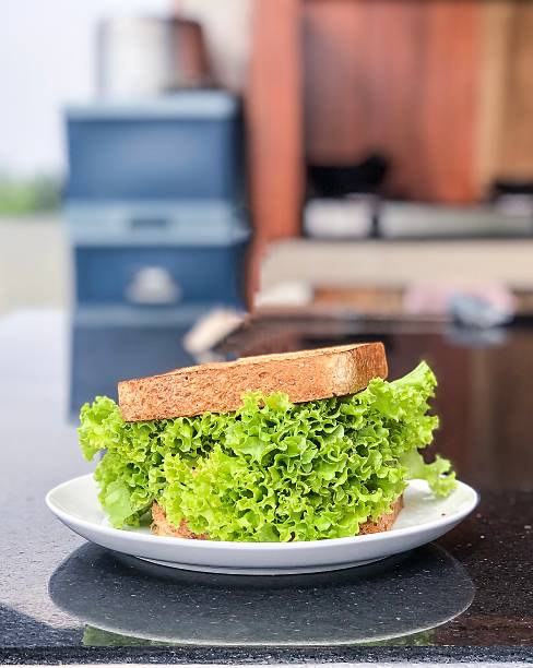 Close-Up Of Hand Holding Sandwich