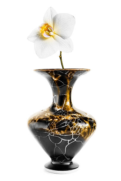 istock Orchid in a vase isolated 2239505185