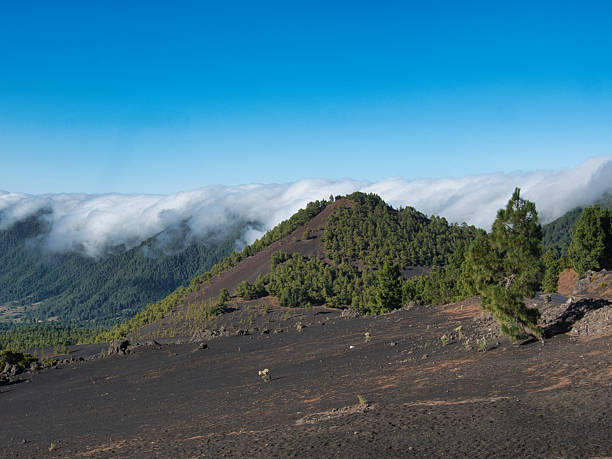 istock Solitary Pine on Volcanic Ridge View - Single pine tree on a black volcanic slope with a panoramic view of the vast mountain range and cloud formations under a clear blue sky. 2239509954