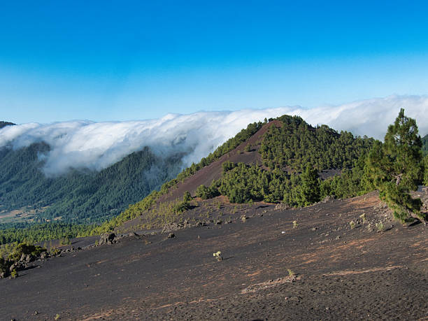 istock Solitary Pine on Volcanic Ridge View - Single pine tree on a black volcanic slope with a panoramic view of the vast mountain range and cloud formations under a clear blue sky. 2239509971