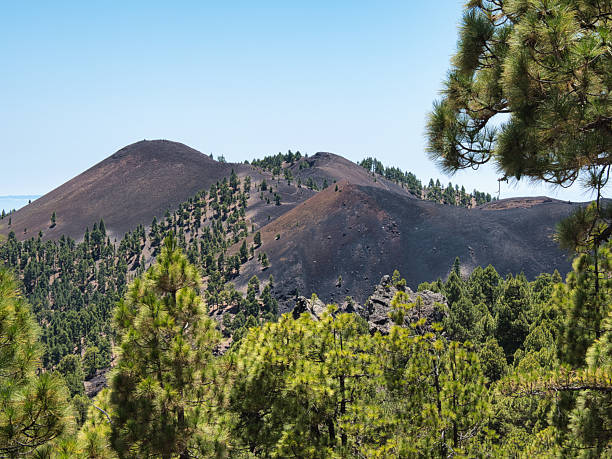 istock Pine Forest Framing Volcanic Cinder Cones - Lush green Canary pine trees framing a view of two dark, rounded volcanic cinder cones covered sparsely with pines under a clear blue sky. 2239510000