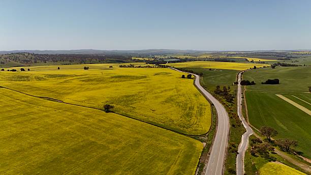 istock Auburn, South Australia – Aerial Drone Footage Featuring Vibrant Canola Fields, Rolling Farmlands, Country Roads, Green Hills, Scenic Agricultural Landscape of the Clare Valley 2239510067